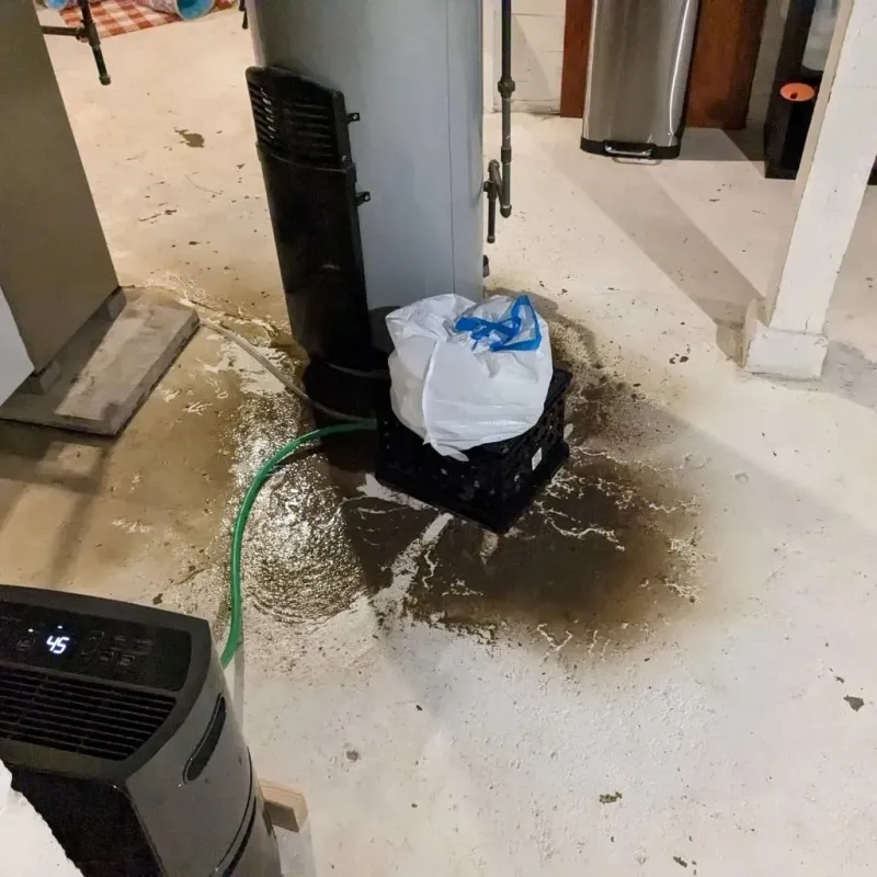 Sewage Backup Cleanup Service in Whitman County, WA